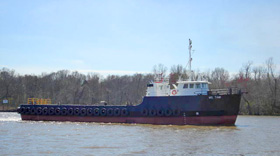 Ms Tami